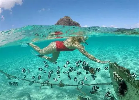 Snorkeling na Mauritiusie